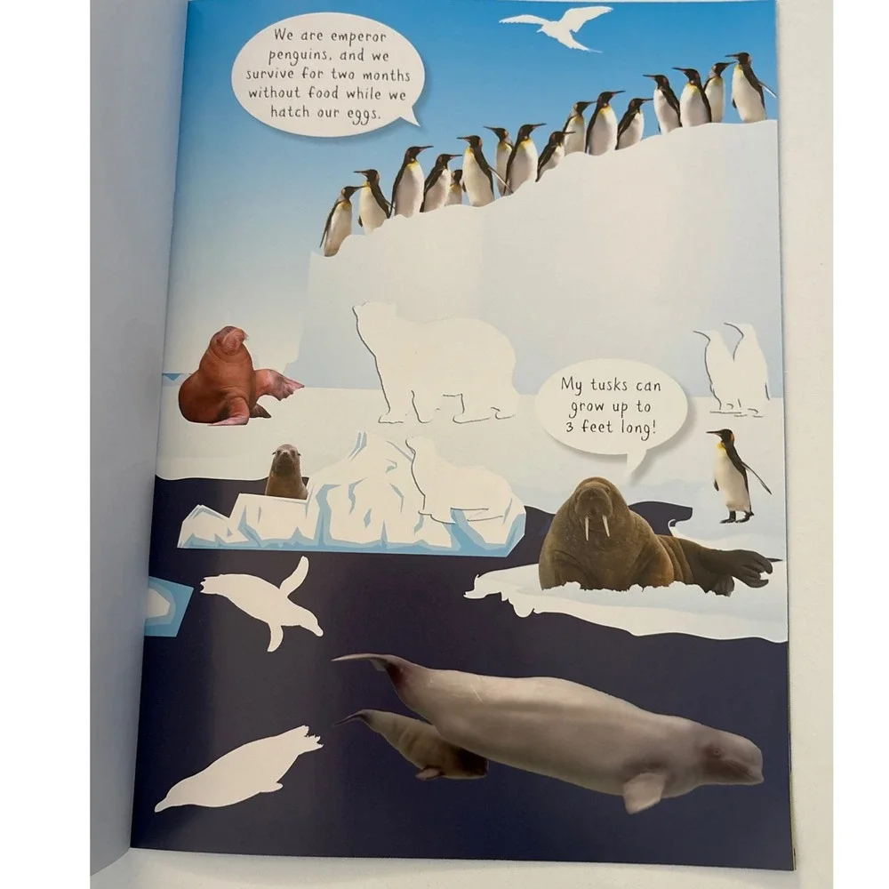 Ocean‎ Creatures Sticker Activity Book Over 70 Reusable Stickers Kids Sharks